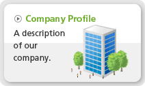 Company Profile: A description of our company.